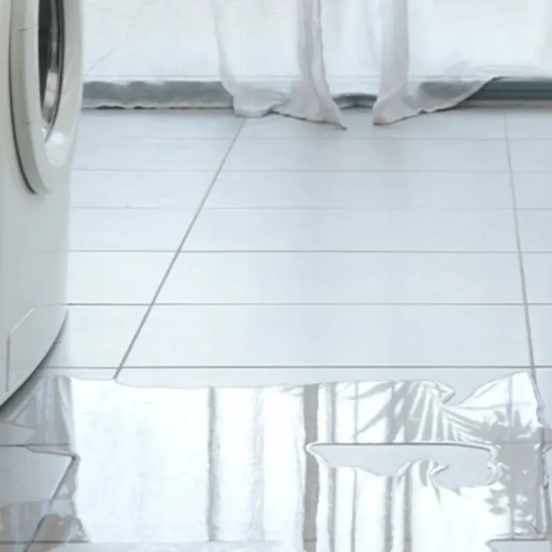 Appliance Leak Cleanup in Brookside, DE