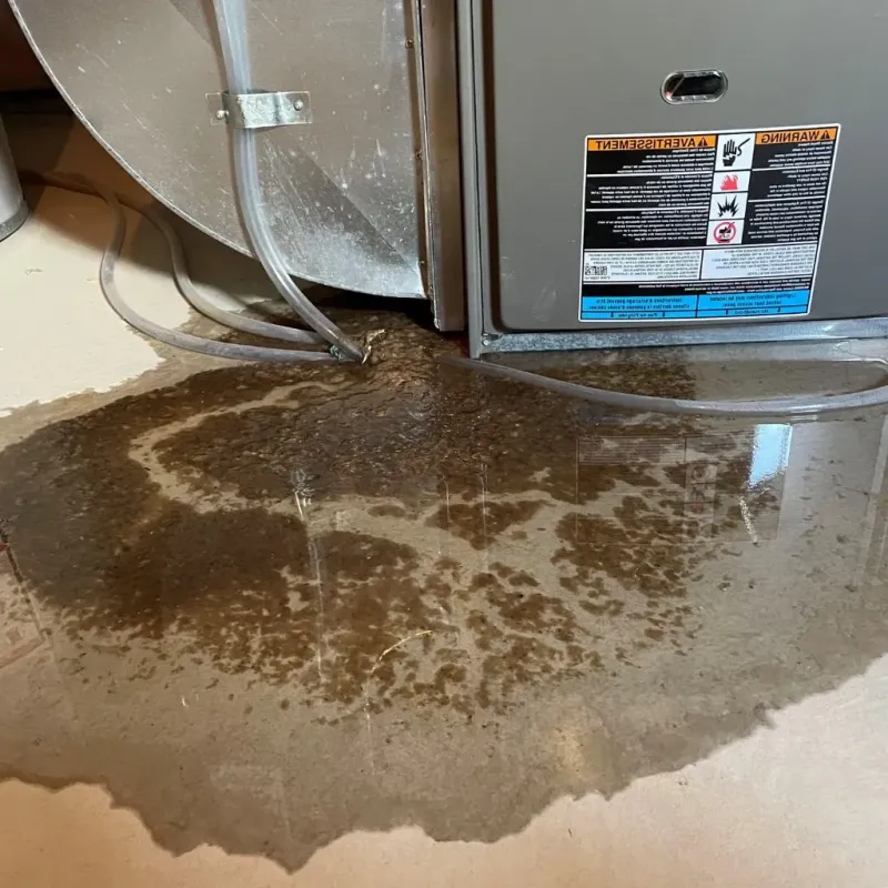 Pipe Burst and Leak Restoration in Brookside, DE