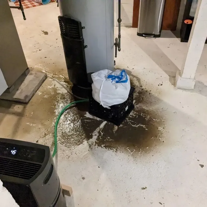 Sewage Backup Cleanup Service in Brookside, DE